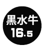 丸印16.5ミリ